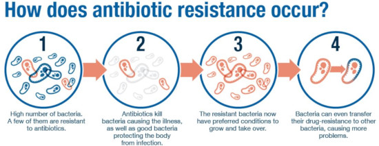 antibiotics-resistance-illustration-WHO550.jpg