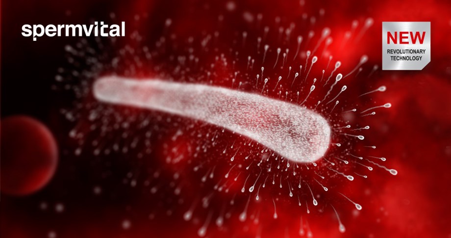 Illustration of SpermVital