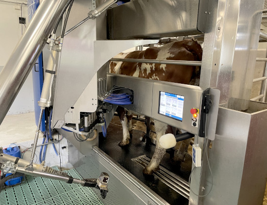 High-tech milking robot with camera for monitoring. Photo: Diego Galli