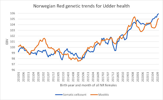 Norwegian Red genetic trends udder health550.jpg