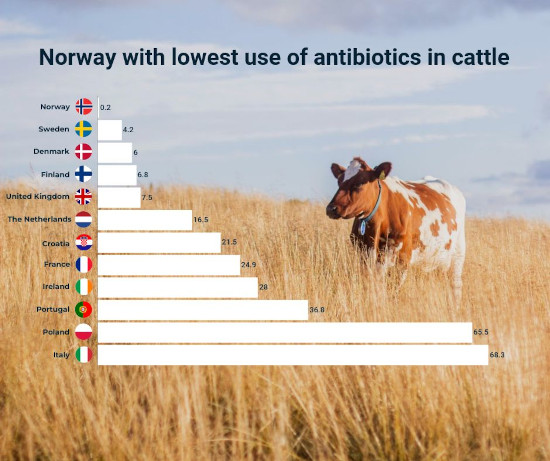 Infographic - antibiotics 2020 550.jpg