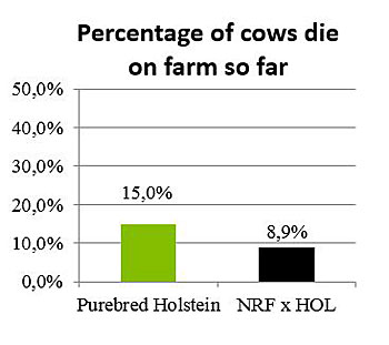 Figure-10_Percentage-of-cows-die-on-farm-so-far-350-pix.jpg