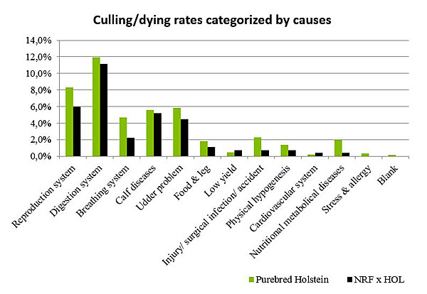 Figure-11_Culling-dying-rates-categorized-by-causes-600-pix.jpg