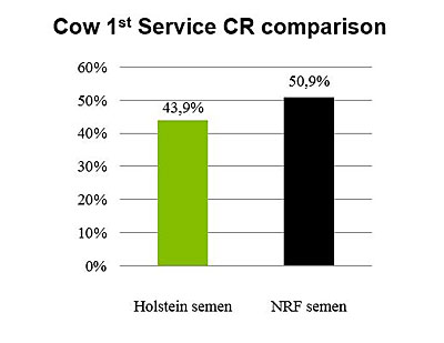Figure-1_Cow-1st-service-CR-comparison-400-pix.jpg