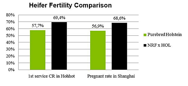 Figure-2_Heifer-fertility-comparison-600-pix.jpg