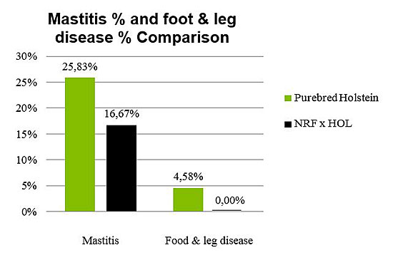 Figure-6_Mastitis-percent-and-foot-and-leg-disease-percent-comparison-550-pix.jpg