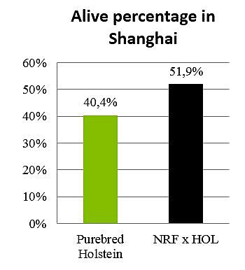 Figure-7_Alive-percentage-in-Shanghai-350-pix.jpg