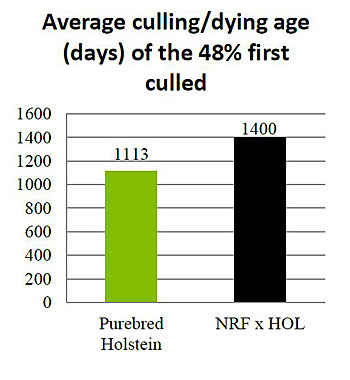 Figure-8_Average-culling-dying-age-of-the-48-percent-first-culled.jpg