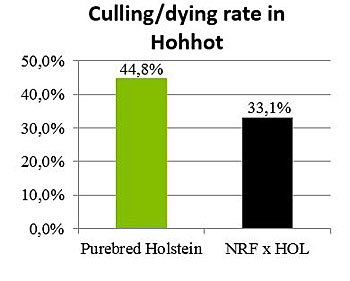 Figure-9_Average-culling-dying-rate-in-Hohot_350-pix.jpg