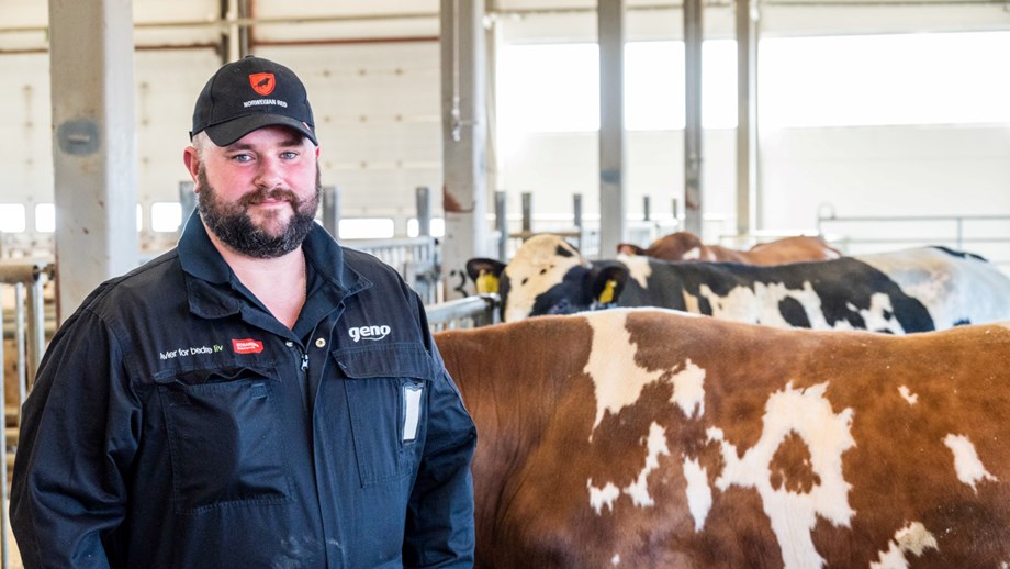 Picture of Joshua Hoffmann with bulls in the background.