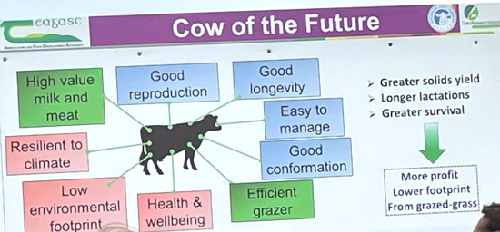Powerpoint slide presenting Cow of the future in Ireland