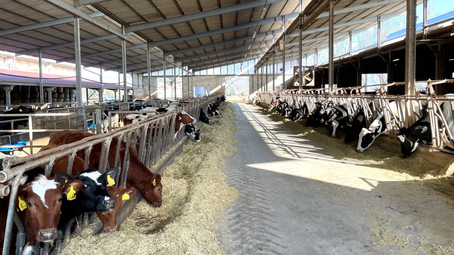 The barn at Gobetti Farm. Photo: Luca Acerbis