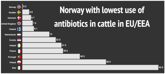 11-Skjermbilde-antibiotika-550.jpg