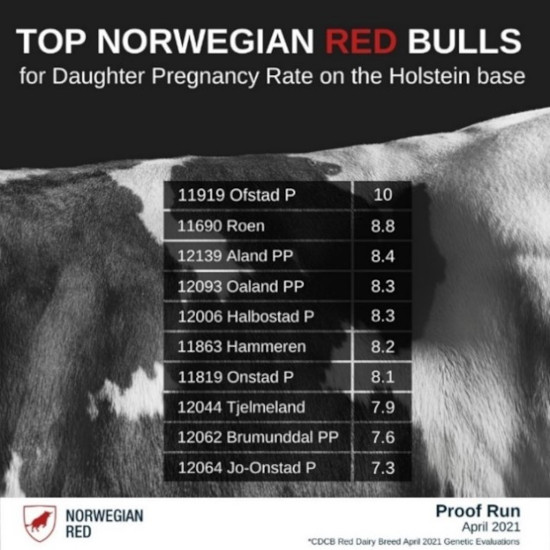 NR-bulls daughter pregnancy rate table-550.jpg