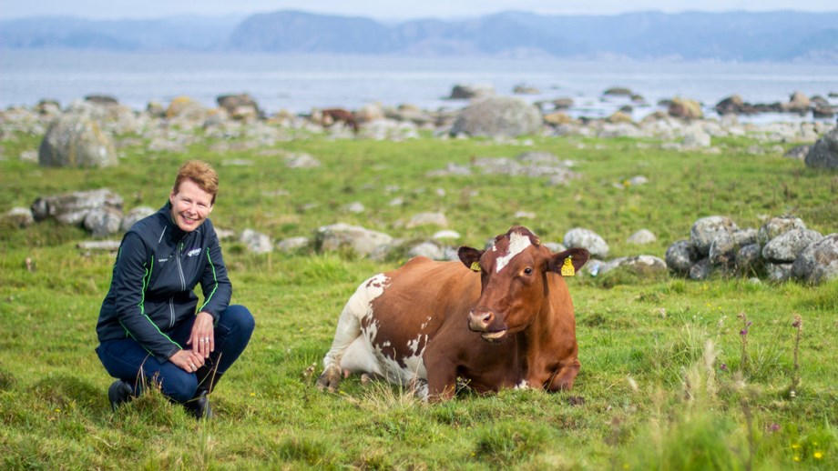 Kristin Malonæs standing besides a norwegian red cow in a green field.
