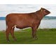 Aland PP 12139 Global