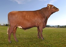 12154 Lomunddal
