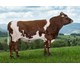 NR Melleby 12381 Global