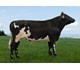 NR Fretland-PP 12433 Global