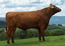 12453 NR Vossingen-ET