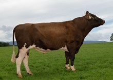 12459 NR Klefstadmoen-P