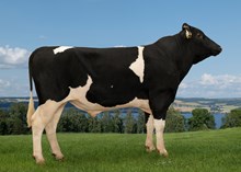 12477 NR Oppistua-ET