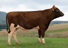 12493 NR Tveraaen-PP